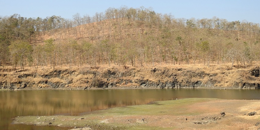 Scenic view of Tansa Wildlife Sanctuary, showcasing lush greenery and diverse wildlife