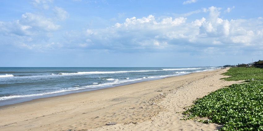 Scenic image of a beach surrounded by lush trees and golden sand, one of the best places to visit in Devgad