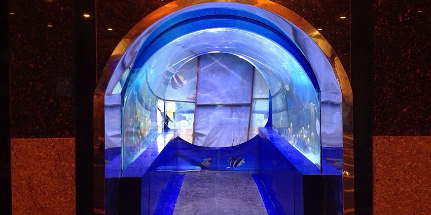 An inside view of Taraporewala Aquarium in Mumbai, a popular tourist attraction near Marine Drive.