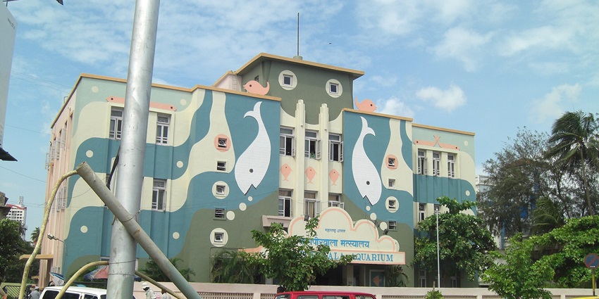 Taraporewala Aquarium showcasing diverse marine life along Marine Drive