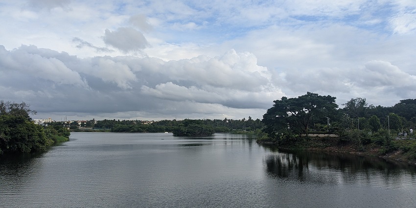 Tavarekere Lake features serene oasis surrounded by greenery, ideal for relaxation