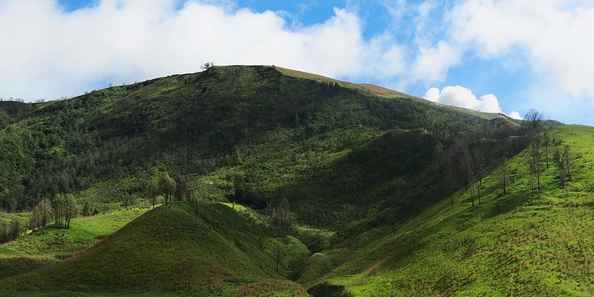 Rolling hills of Teletubbies Hill in Bali with vibrant grass and scenic landscape.