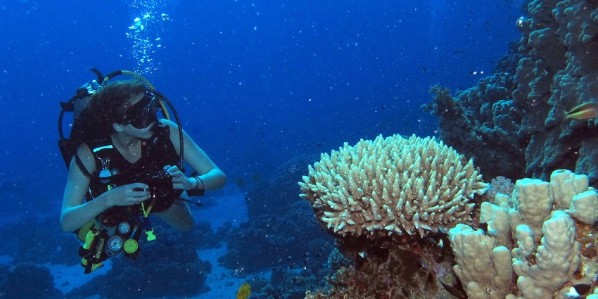 Water sports in Pondicherry include Scuba diving.