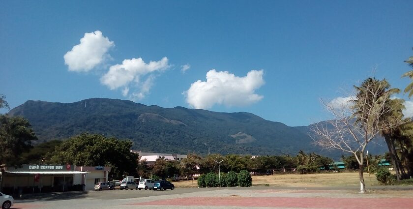 A view of verdant greenery and vibrant flowers in Coimbatore, showcasing the beauty of nature