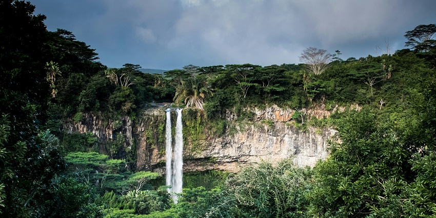 Thalaiyar Falls, also known as Rat Tail Falls, flowing through lush greenery in Dindigul.