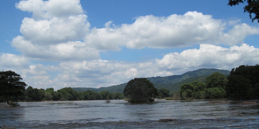 Mesmerising views of Cauvery Wildlife Sanctuary near Panchalinga Falls