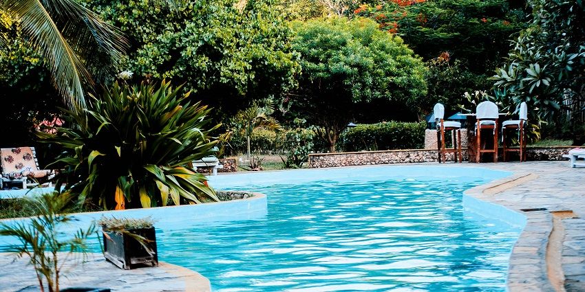 View of a swimming pool surrounded by lush trees, perfect spot for a pool party in Gwalior