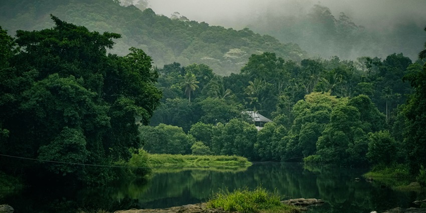 A serene view of Thekkady, one of the mesmerising hill stations near Tenkasi.