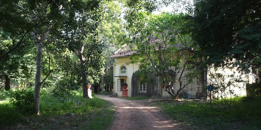 The Theosophical Society near Mylapore Temple, surrounded by lush green trees and paths.