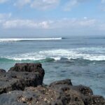 The beautiful view of Canggu beach with trees around and waves hitting the shore.