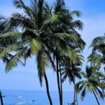 A view from the cliffs at Vagator Beach - explore the best things to do in Goa in April