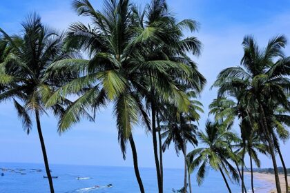 A view from the cliffs at Vagator Beach - explore the best things to do in Goa in April