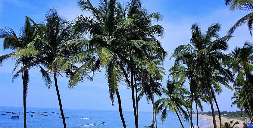 A view from the cliffs at Vagator Beach - explore the best things to do in Goa in April