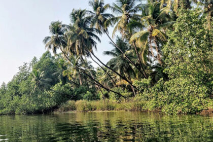 Exploring the serene spots is one of the unique things to do in Honnavar, Karnataka.