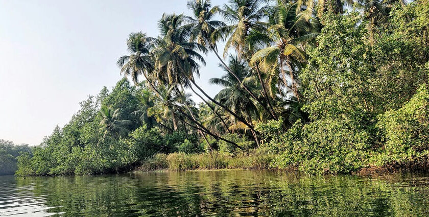 Exploring the serene spots is one of the unique things to do in Honnavar, Karnataka.