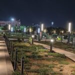 Nighttime in a Jaipur city park, where twinkling lights adorn trees, creating a tranquil and inviting outdoor space.