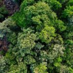 A bird’s eye view of the majestic peaks decked with lush green vegetation in Maharashtra.