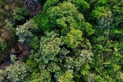 A bird’s eye view of the majestic peaks decked with lush green vegetation in Maharashtra.