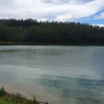 View of Pyara lake, boating here is one of the things to do in Masinagudi