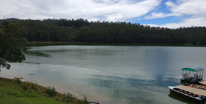 View of Pyara lake, boating here is one of the things to do in Masinagudi