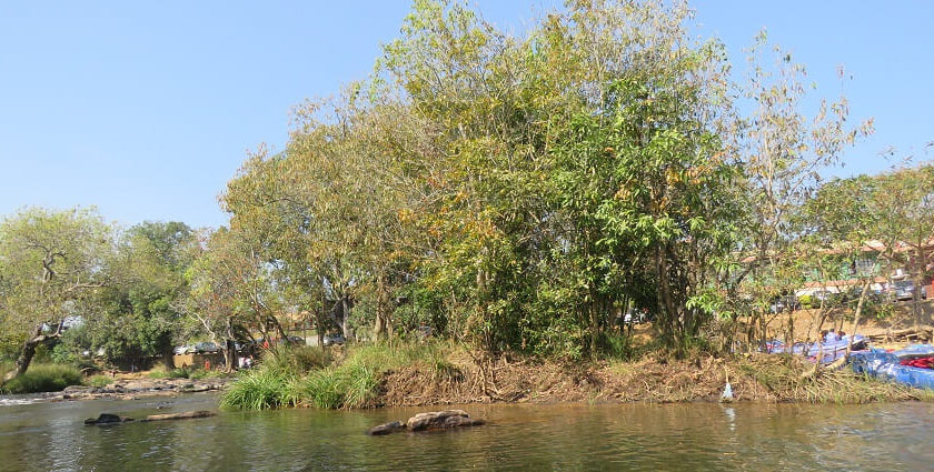 A lush island and a scenic view, one of the top things to see in Nisargadhama