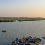 A scenic picture of Pichavaram, showcasing the best things to do in Pichavaram