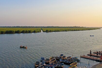 A scenic picture of Pichavaram, showcasing the best things to do in Pichavaram