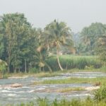 A mesmerising view of the Paschimavahini Kaveri river flowing through Srirangapatna.