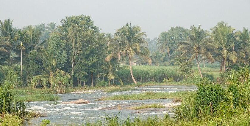 A mesmerising view of the Paschimavahini Kaveri river flowing through Srirangapatna.