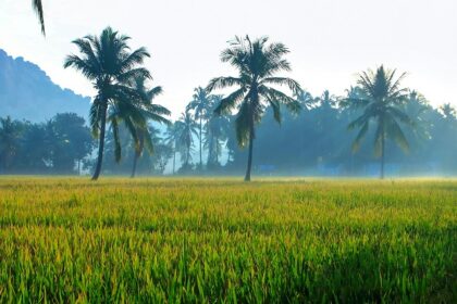 Busy view in Hospet showcasing local shops and activities are the things to do in Hospet.