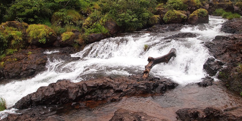 A picture of Thoseghar Falls cascades amidst greenery, offering a stunning view of the falls.
