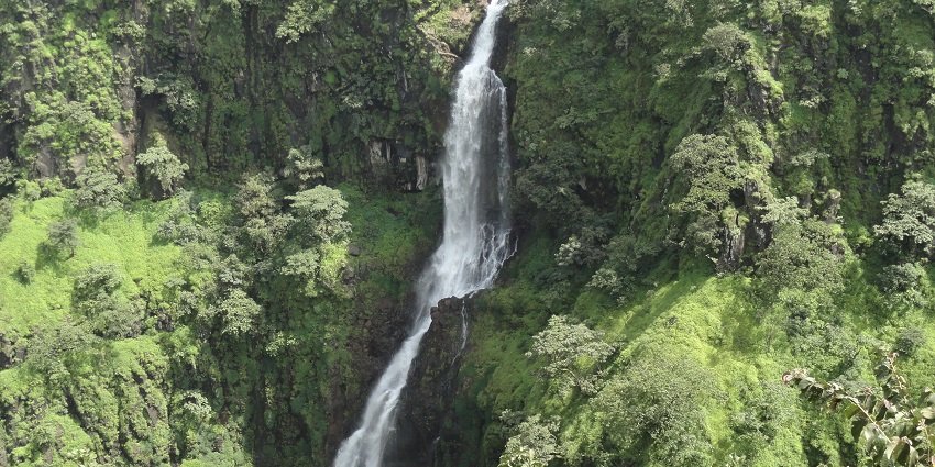 Thoseghar Waterfall, cascading amidst lush greenery, is one of the best places near Ajinkyatara fort.