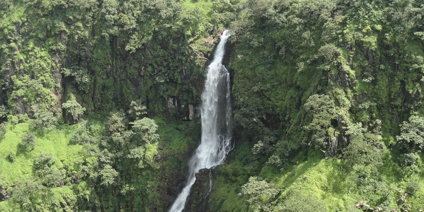 A panoramic view of the Thoseghar Waterfall surrounded by lush green foliage.