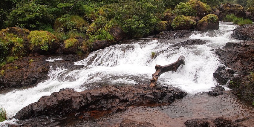 Witness the mighty roar of Thoseghar Waterfalls on a monsoon getaway with friends