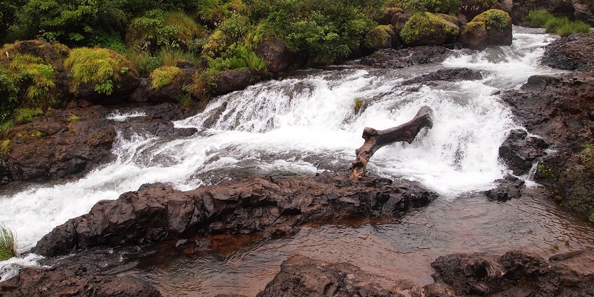 Majestic Thoseghar Waterfalls tumbling across a tranquil forest setting.