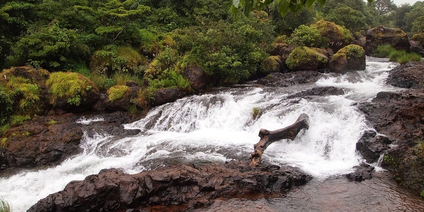 Majestic waterfalls cascading down rocky cliffs and surrounded by lush greenery.