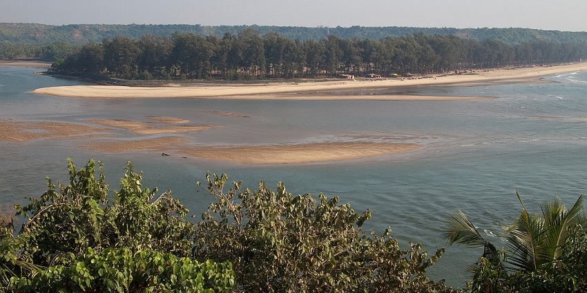 Tiger beach provides beautiful, untouched nature around you.