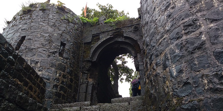 A person entering the historic stone structure of the Tikona Fort covered in greenery
