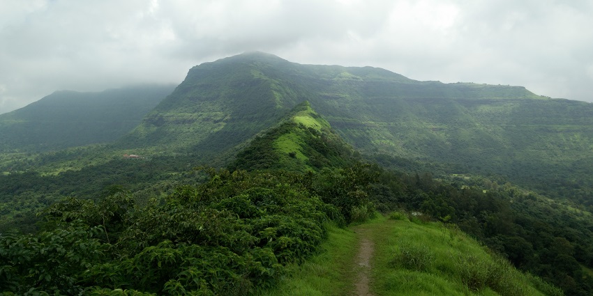 A narrow pathway to the Tikona Fort hidden in greenery with other hills covered in mist