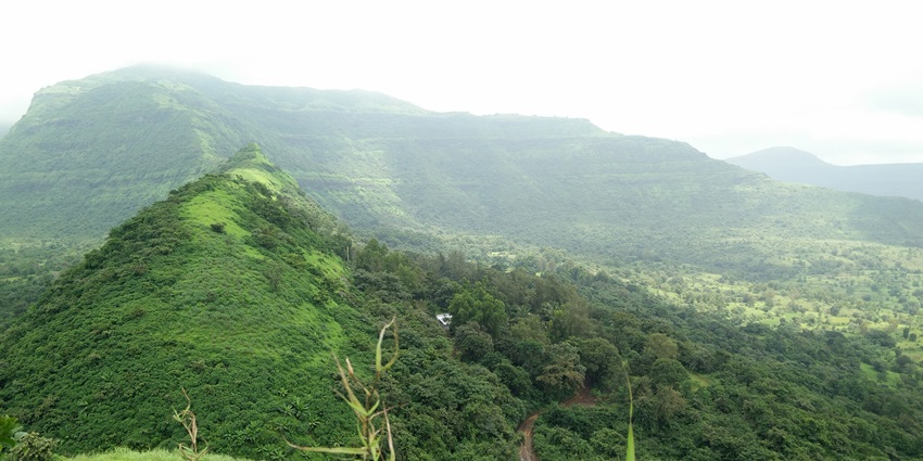Image of Tikona Fort, a popular place for trekking and spectacular views among visitors.