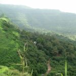 A view of the Tikona Fort with an amazing backdrop of lush greenery and mountains.