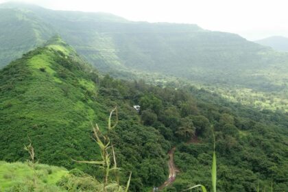 A view of the Tikona Fort with an amazing backdrop of lush greenery and mountains.