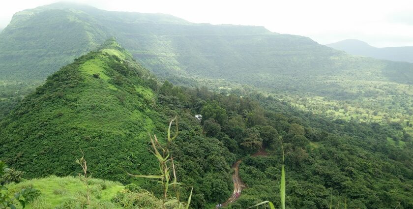 A view of the Tikona Fort with an amazing backdrop of lush greenery and mountains.