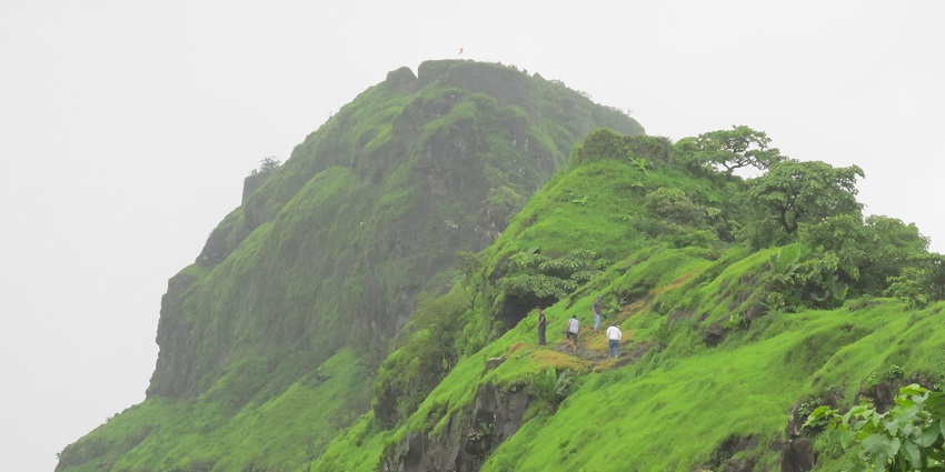 Tikona Fort during the rainy season, showcasing vibrant views of green landscape.