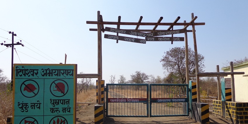 Scenic view of Tipeshwar Abhayaranya in Yavatmal, showcasing the entrance gate of the wildlife sanctuary.