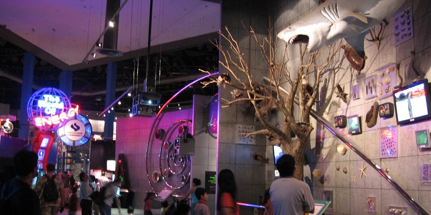 There are some tips to keep in mind before visiting Science Centre Singapore.