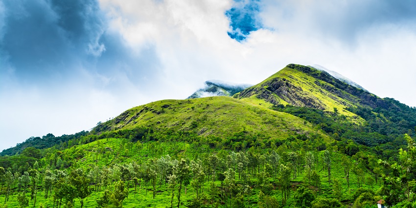 Before commencing Chembra Peak Trekking, there are certain tips to be aware of.