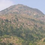 Scenic view of of Tiruvannamalai trekking trails in Arunachala Hill surrounded by lush greenery