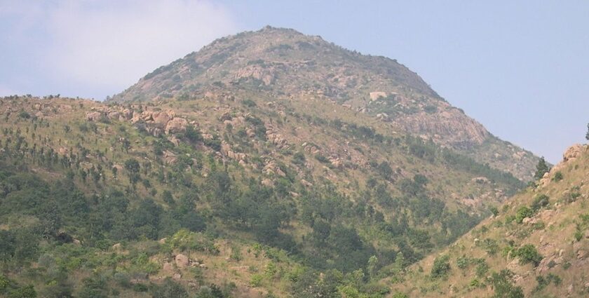 Scenic view of of Tiruvannamalai trekking trails in Arunachala Hill surrounded by lush greenery