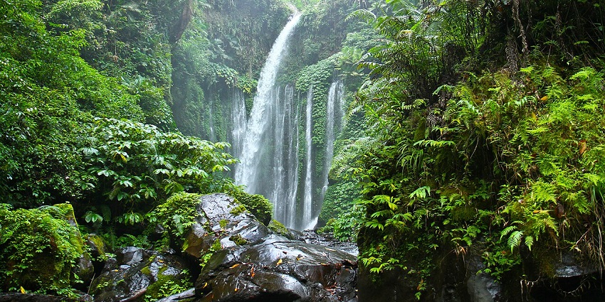 A picture of Tiu Kelep Waterfall, one of the waterfalls which is ideal for evading the heat